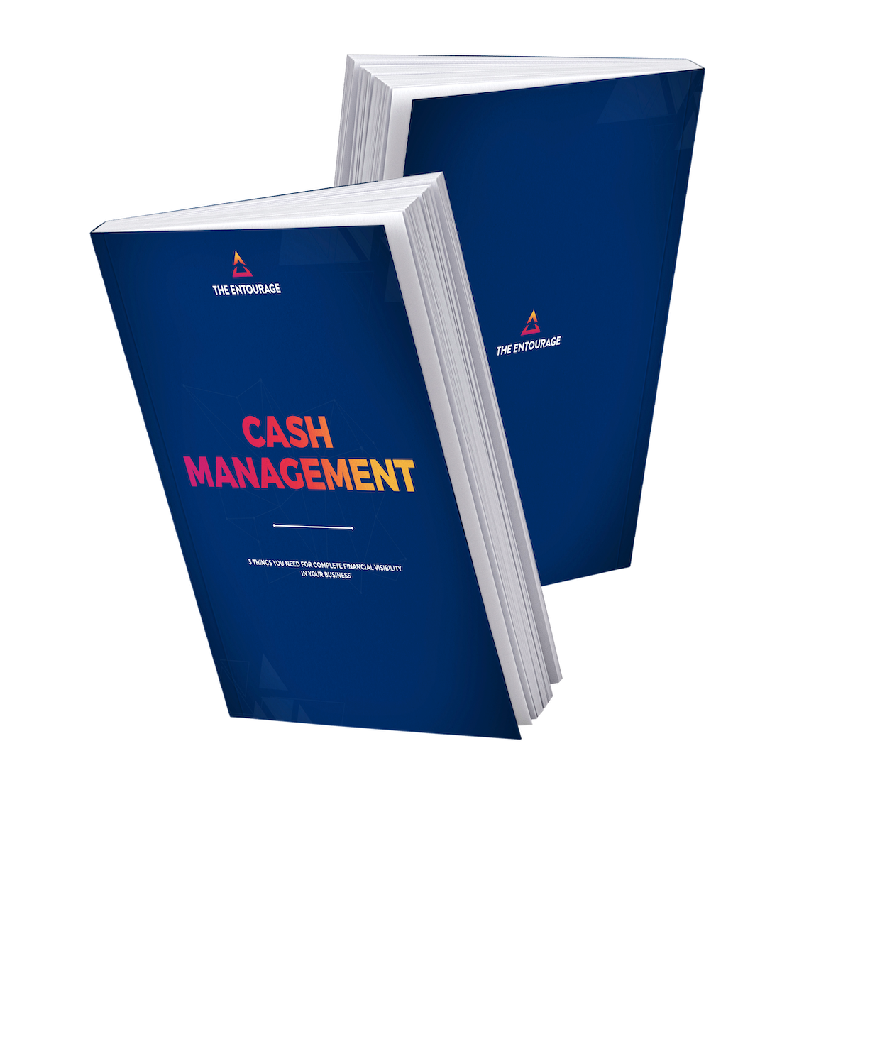 1_CashManagement-1