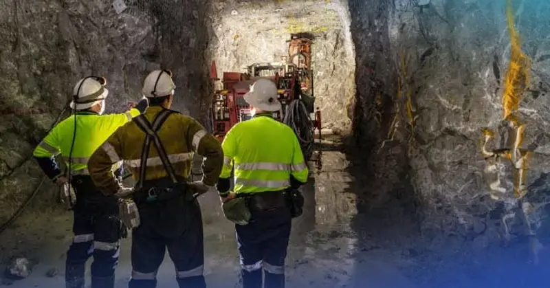 From a 3% Profit Margin to 30%